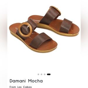 Los Cobos Damani Mocha Brown Leather Sandals with Buckle